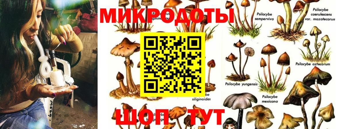 Саратов  Псилоцибиновые грибы ЛСД  Галлюциногенные грибы GOLDEN TEACHER  купить  цена  Вход с VPN 